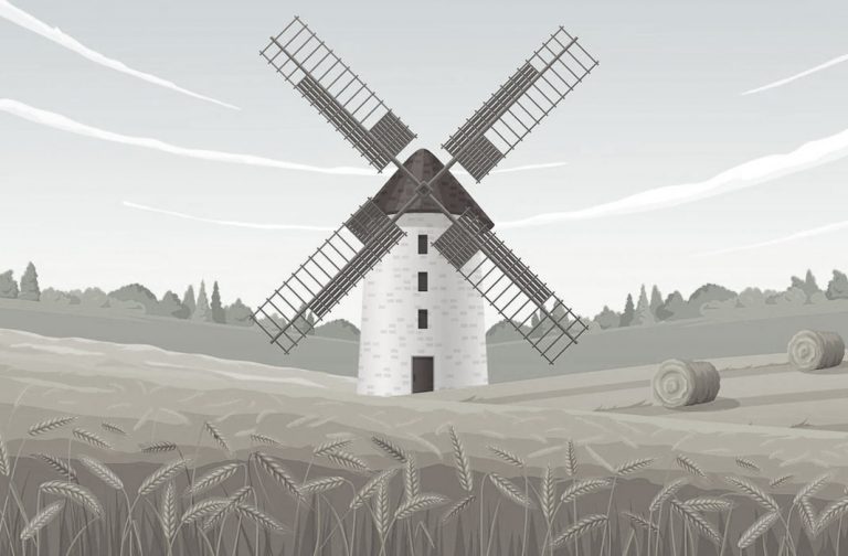 Top 10 Agriculture Companies in Haryana